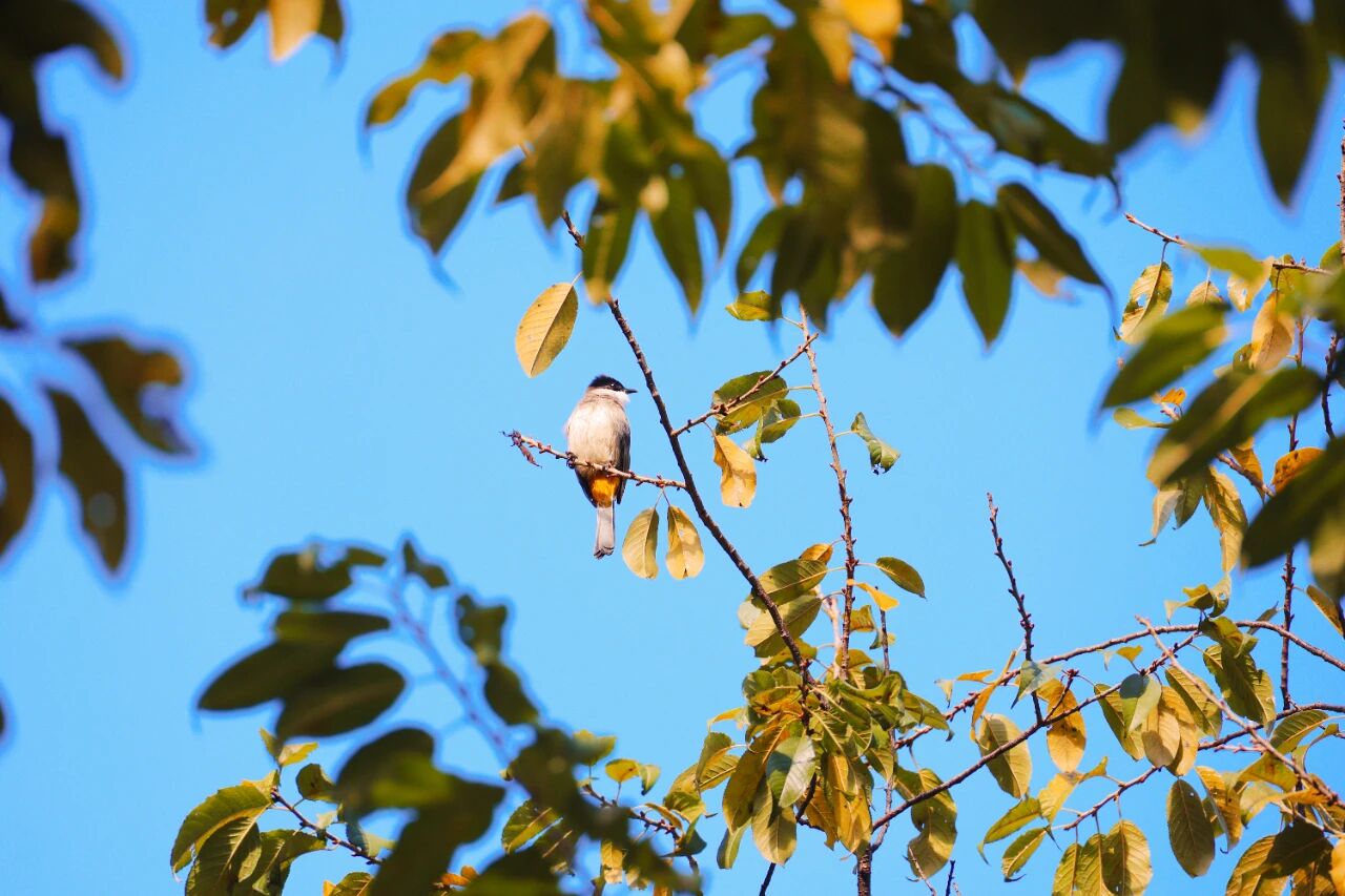 1765855063293061760.jpg fc220b920984d986b89647fcc5431b48.jpg