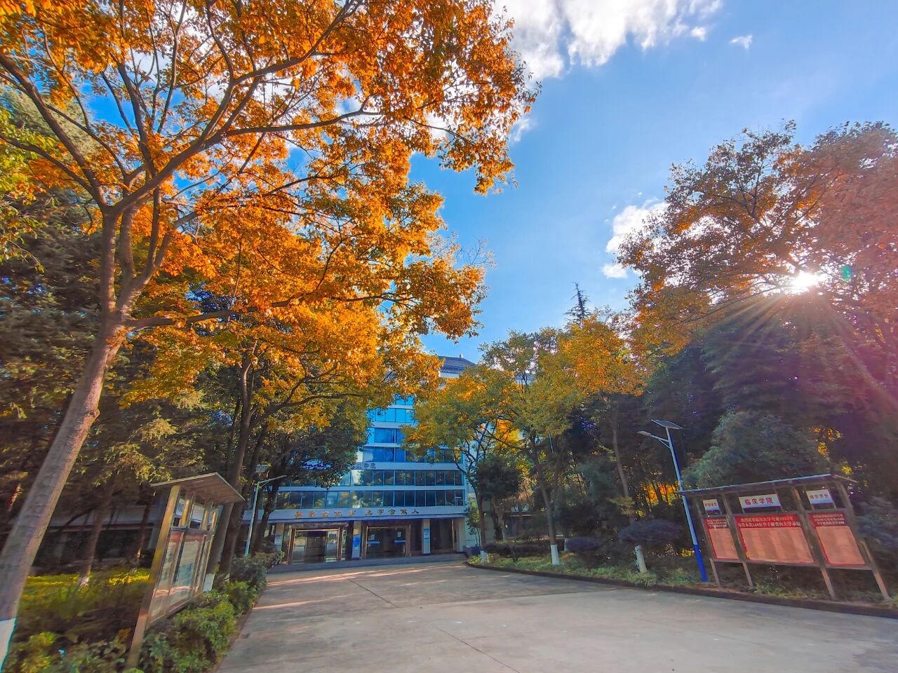 1765855099122082881.jpg 109cdf975b2a3bbb7a2c8ec0b9e0fb5a.jpg