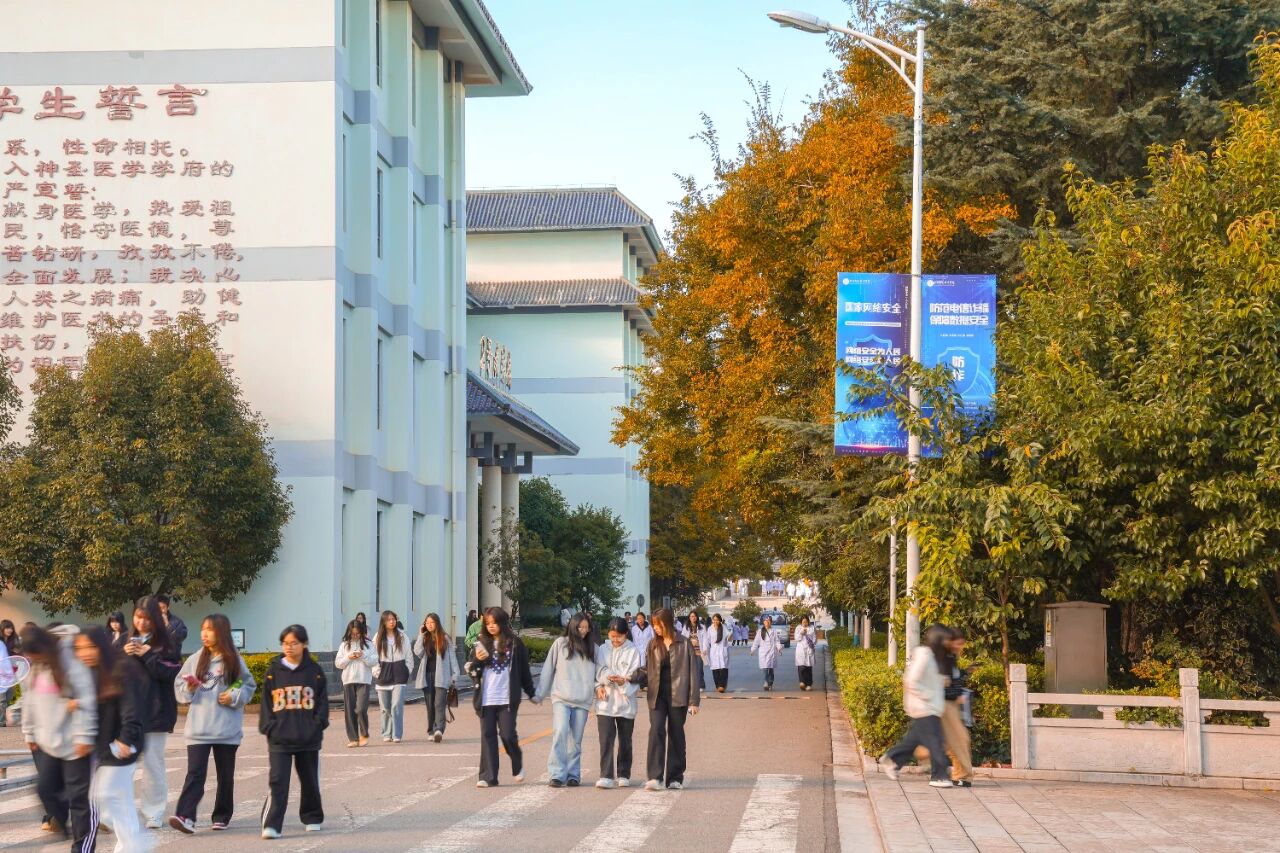 1765855112018038816.jpg 9060bf5689078fd07fce62454dc10ce8.jpg