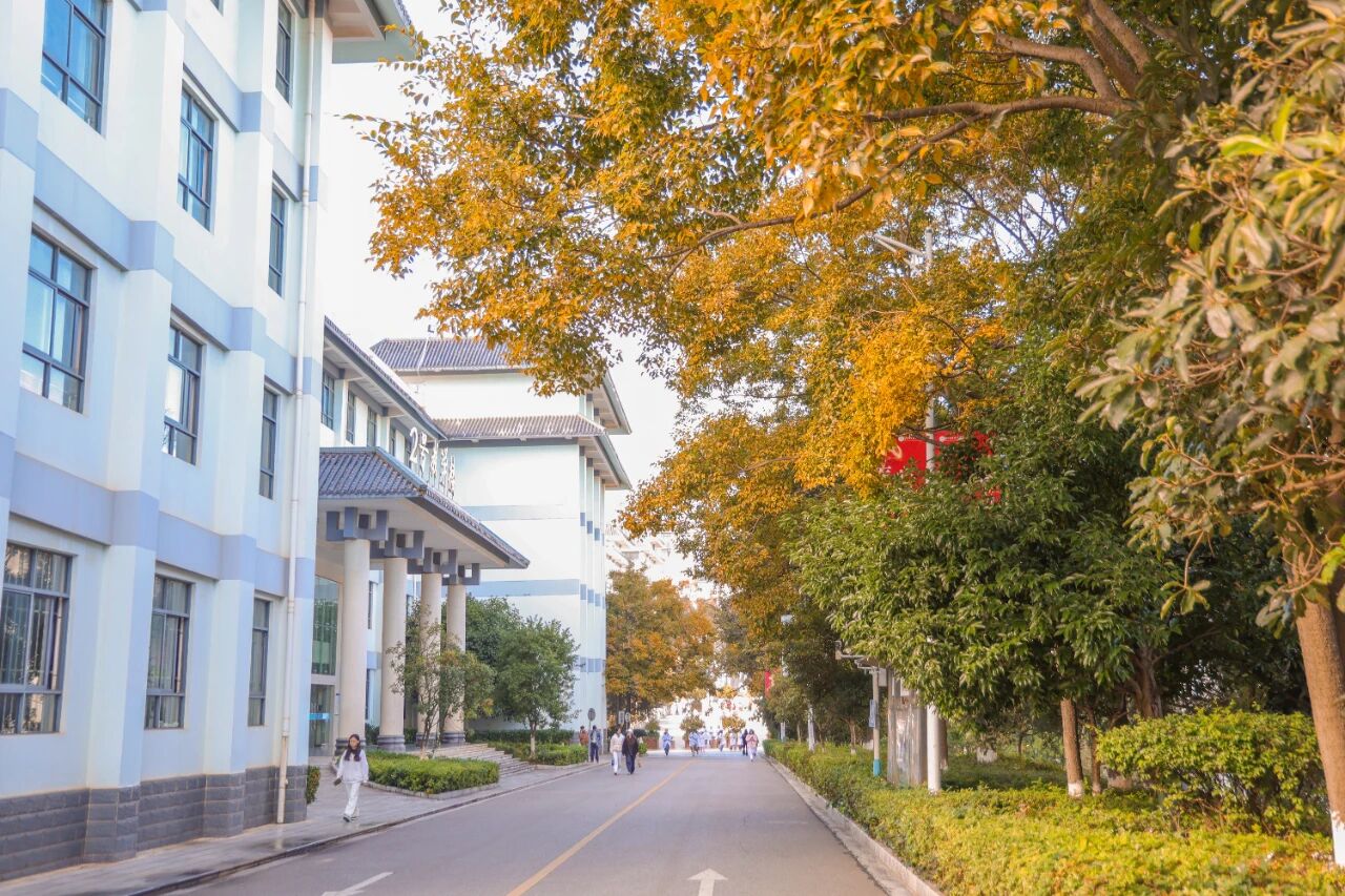 1765855121856057623.jpg 60de94390a0740a31eddc0f12e4a1fe5.jpg