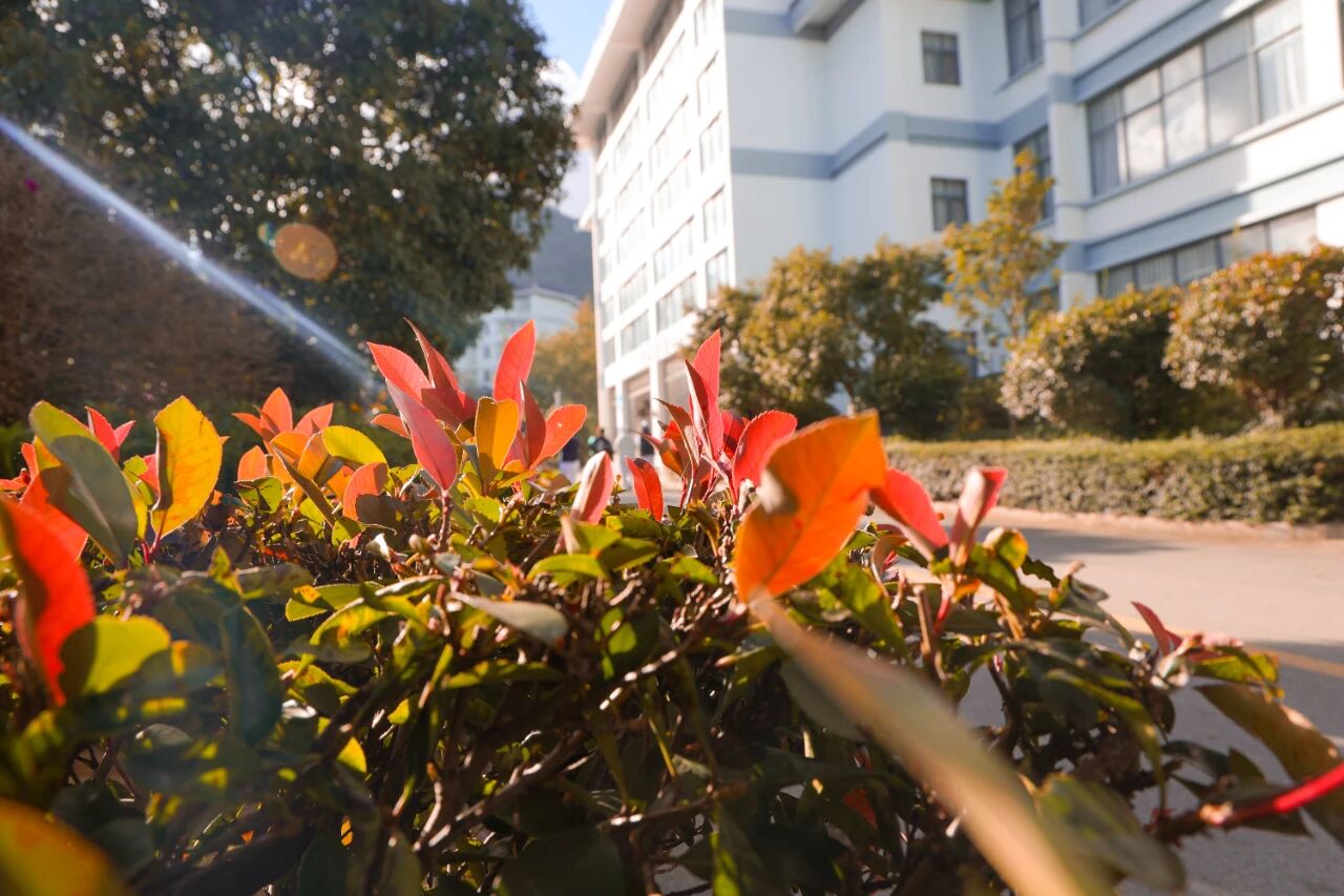 1765855132951088868.jpg 129e160d0694c2406d31a816688cff59.jpg