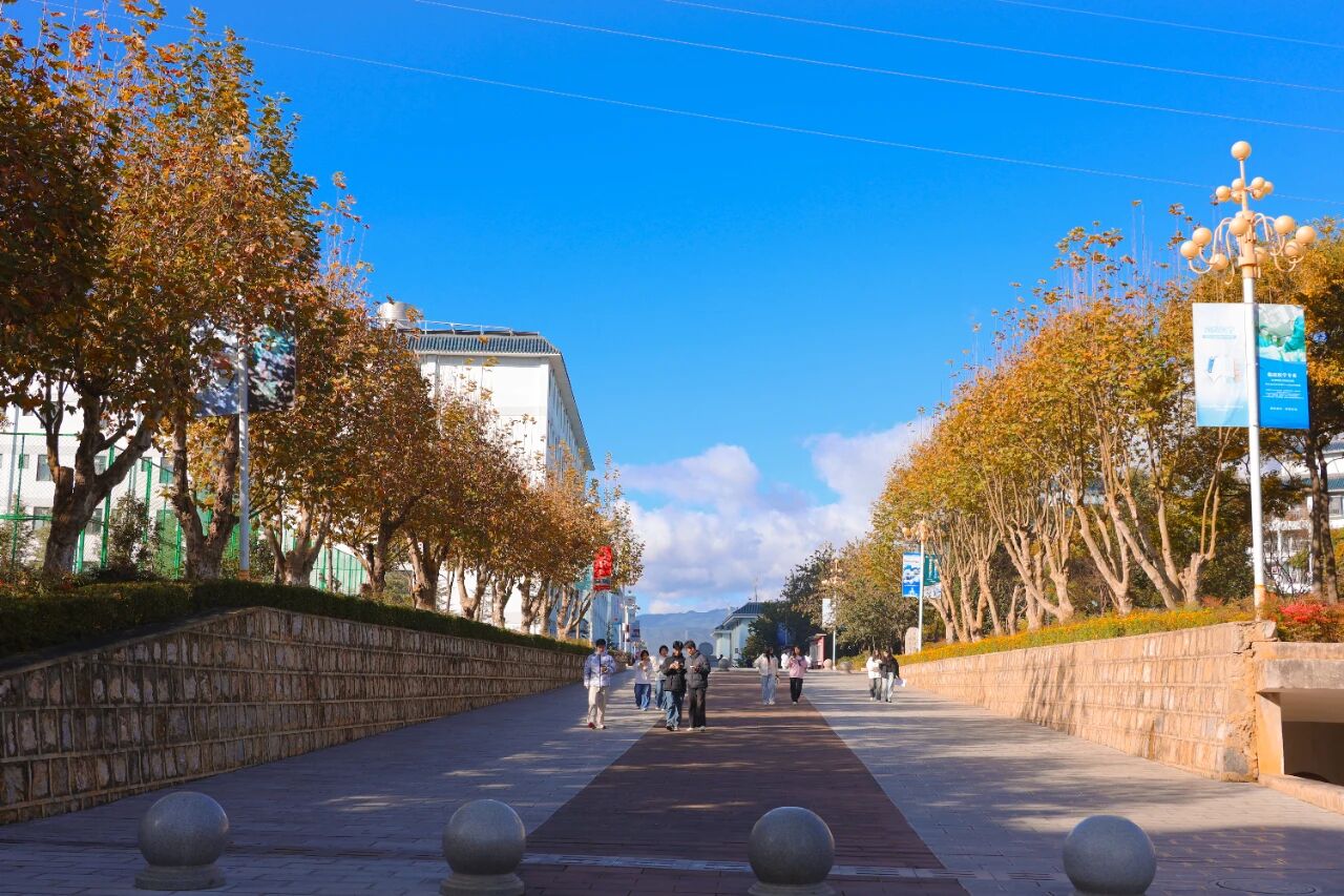 1765855153098053026.jpg 95ea804460cb5d6c144d175845c0551a.jpg