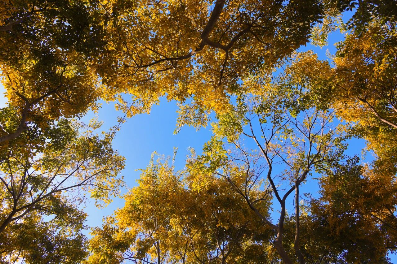 1765855195174017449.jpg 25fe92390bcdb98ff1f7ef480661cbb7.jpg