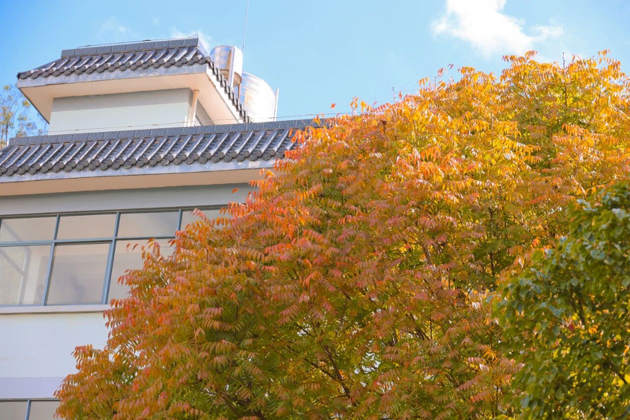 1765855229349032122.jpg deeec7c178f4f4423211f802fc9f13f5.jpg