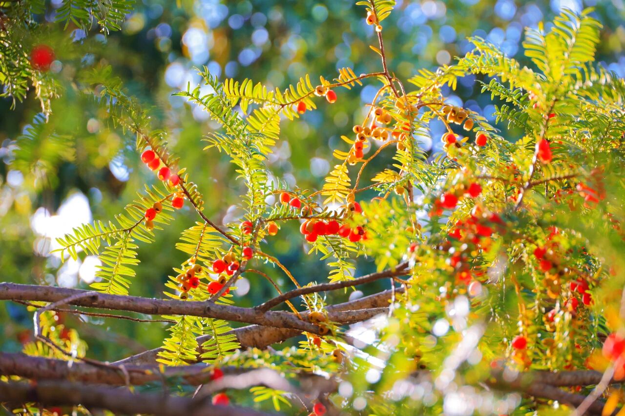 1765855245025097535.jpg 8fad673f1c4a8d15147ebb9a79fb6a88.jpg