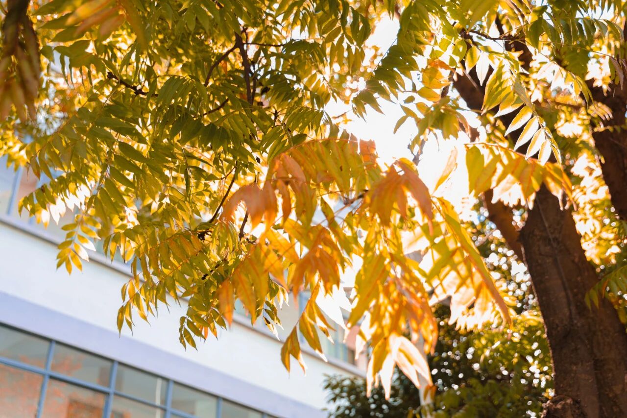 1765855253218068491.jpg ddbff1b41c03c0f4c907df68f8723852.jpg